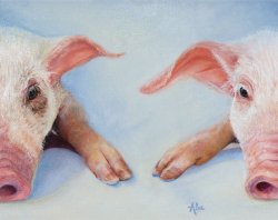 ###FRED AND FERGIE
Medium: Oil on Canvas
Size: 11